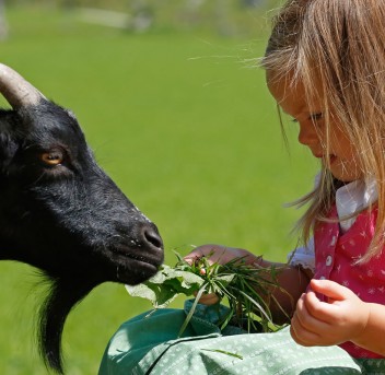 Familienurlaub im Sommer am Rittisberg 